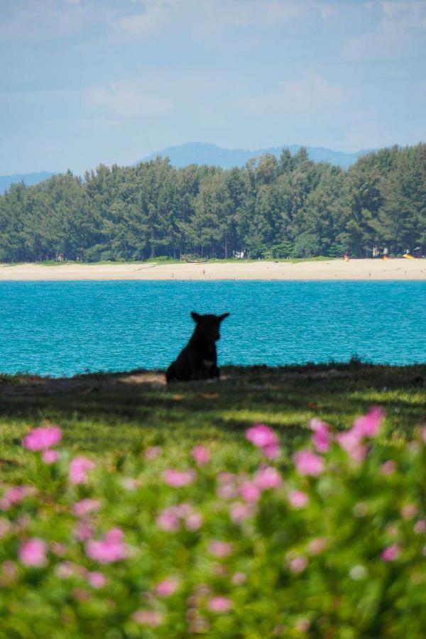 Ideo Phuket Hotel - Sha Extra Plus Nai Yang Zewnętrze zdjęcie